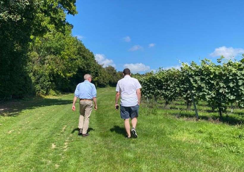 Matt is taken on a tour of the Roman Road vineyard alongside Simpsons sales and events manager Henry Rymill
