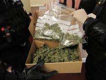 Cannabis seized in drugs raid
