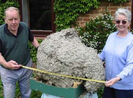 It's a whopper! Alan and Ruby Wood with the giant nest.