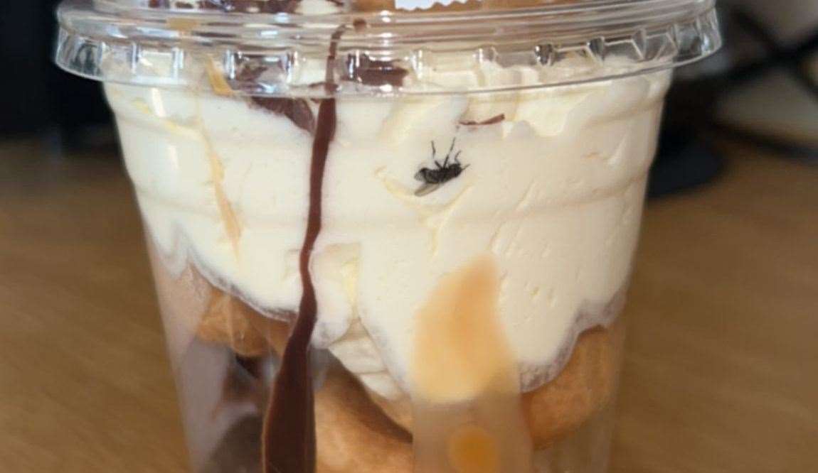 The fly was stuck in the cream of the dessert. Picture: Katie Connolly