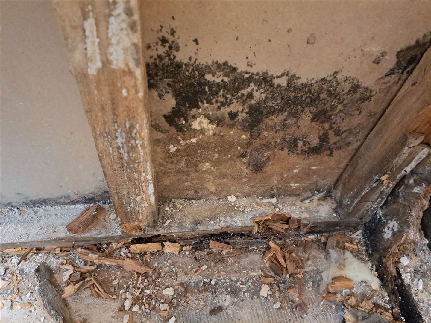 Damp damage to the bathroom of the Rolfe's Hyde Housing home