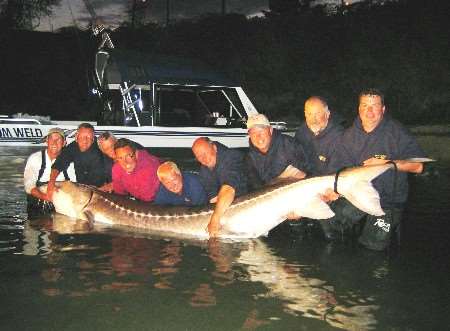 GIANT CATCH: Eight fishing friends from Kent with the huge sturgeon they caught in Canada