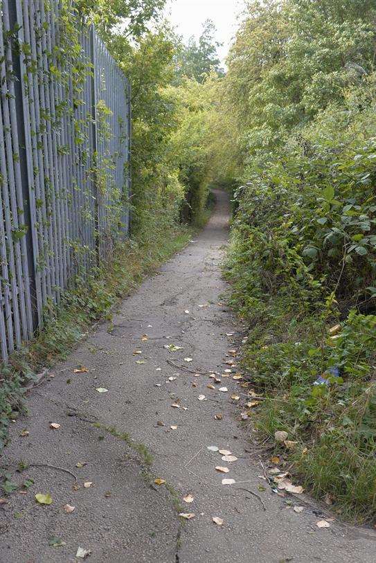 The boys were targeted on this footpath in Strood