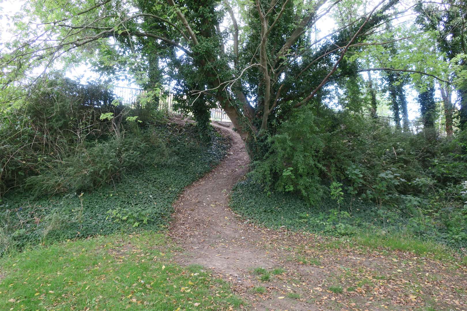 The path that has been carved out by walkers trying to avoid the dual carriageway