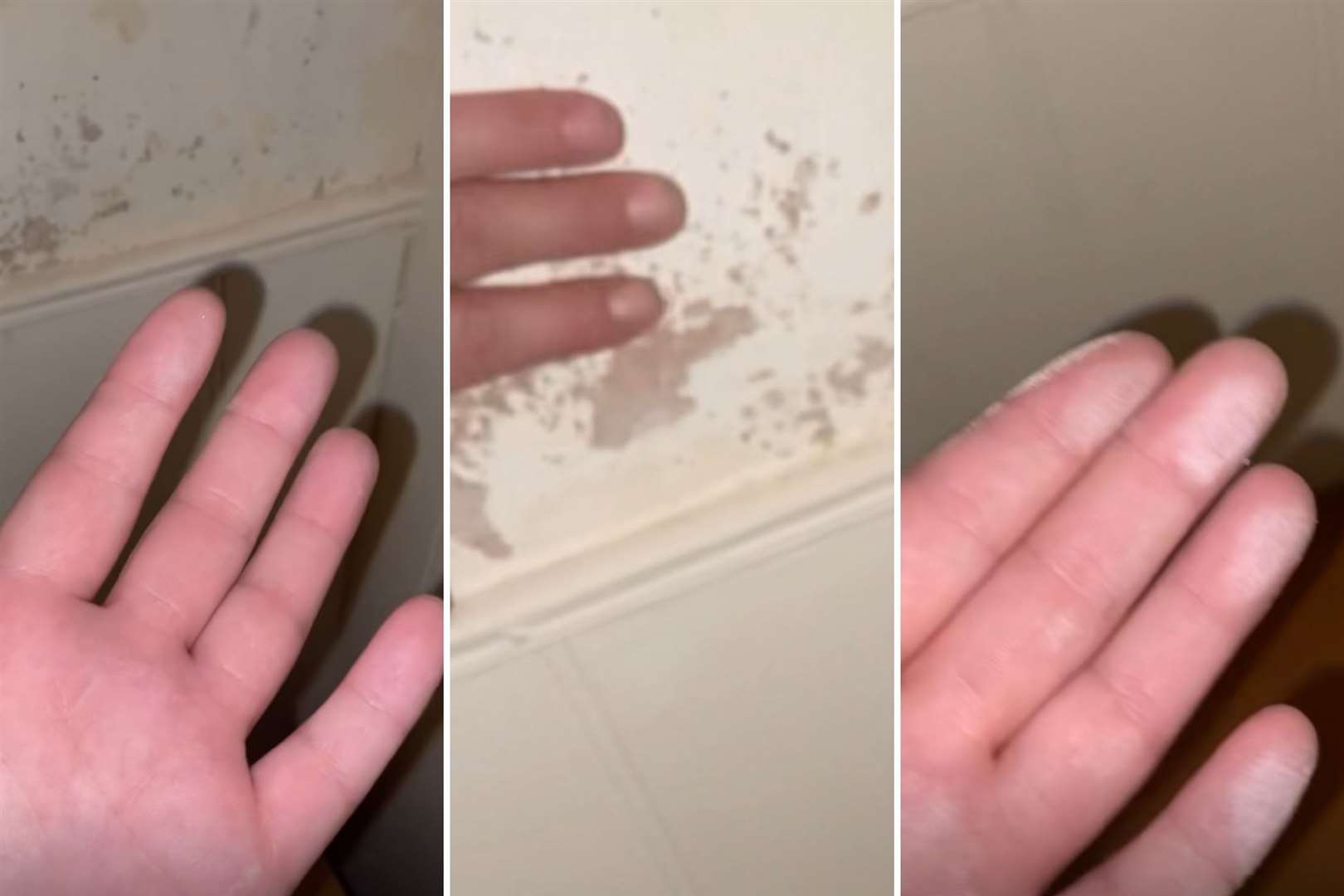 Jade Connor recorded a video as she touched the wall at Ashford Central Guest House, with the residue coming off the wall on her fingers