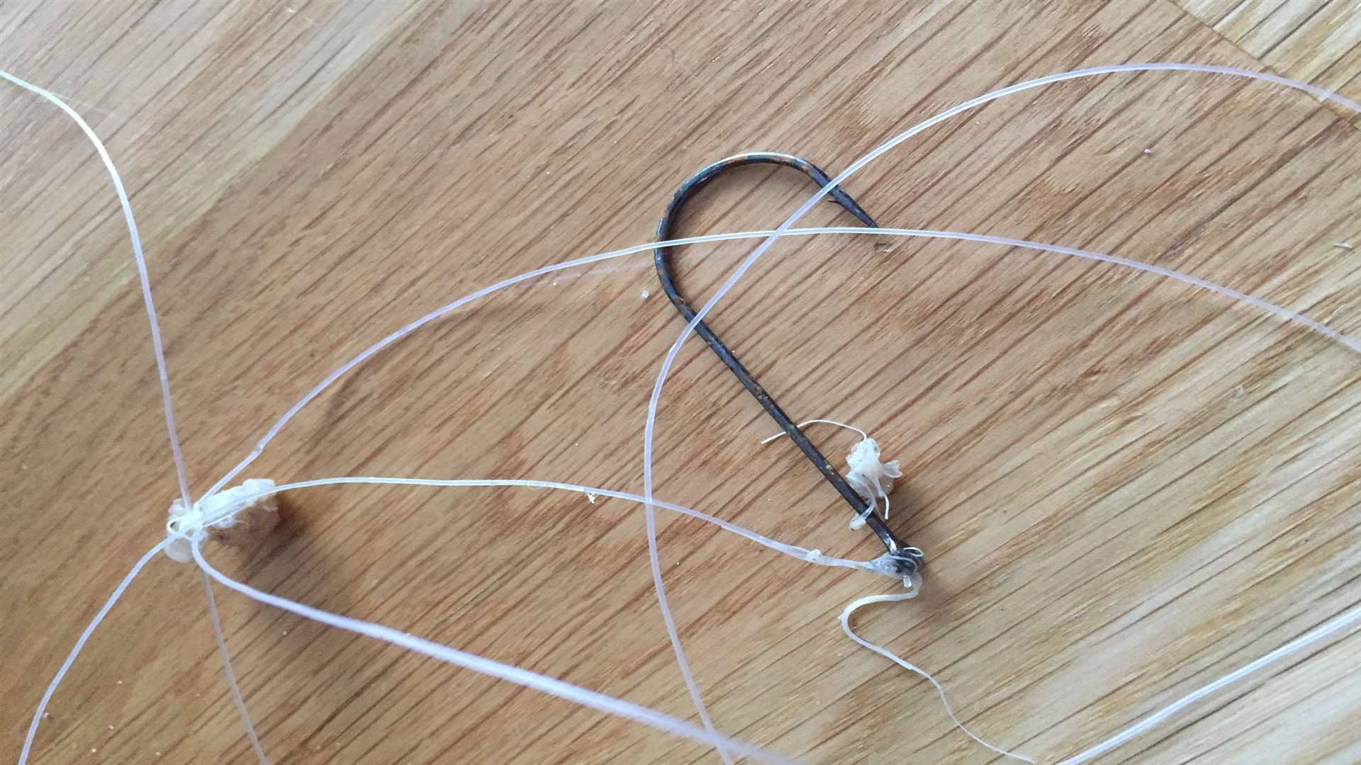 The two inch fishing hook was removed during a half hour operation