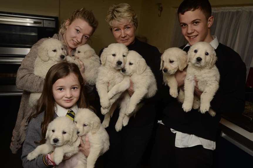 The Kennedy family with eight of the stolen puppies safely returned home again