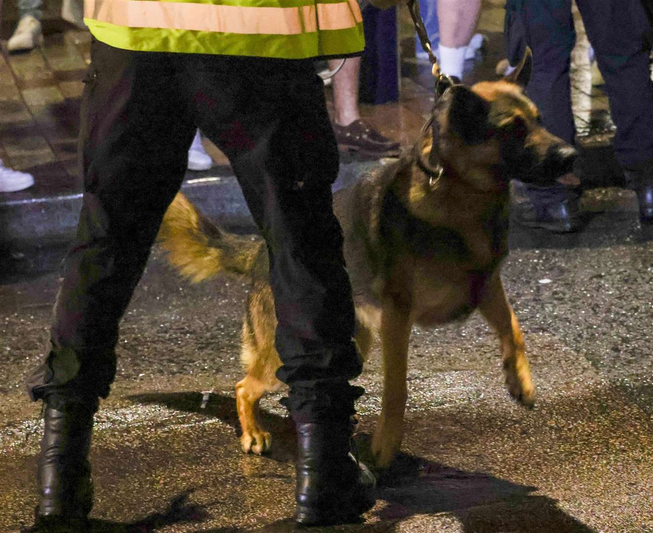 Dozens of officers and dogs descended on Maidstone Picture: UKNIP