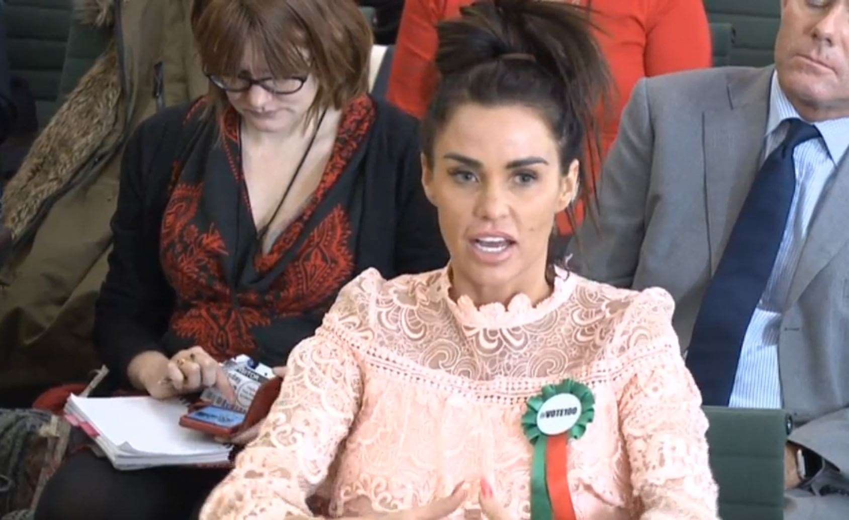 Katie Price gives evidence to the Commons Petitions Committee in 2018 (PA)