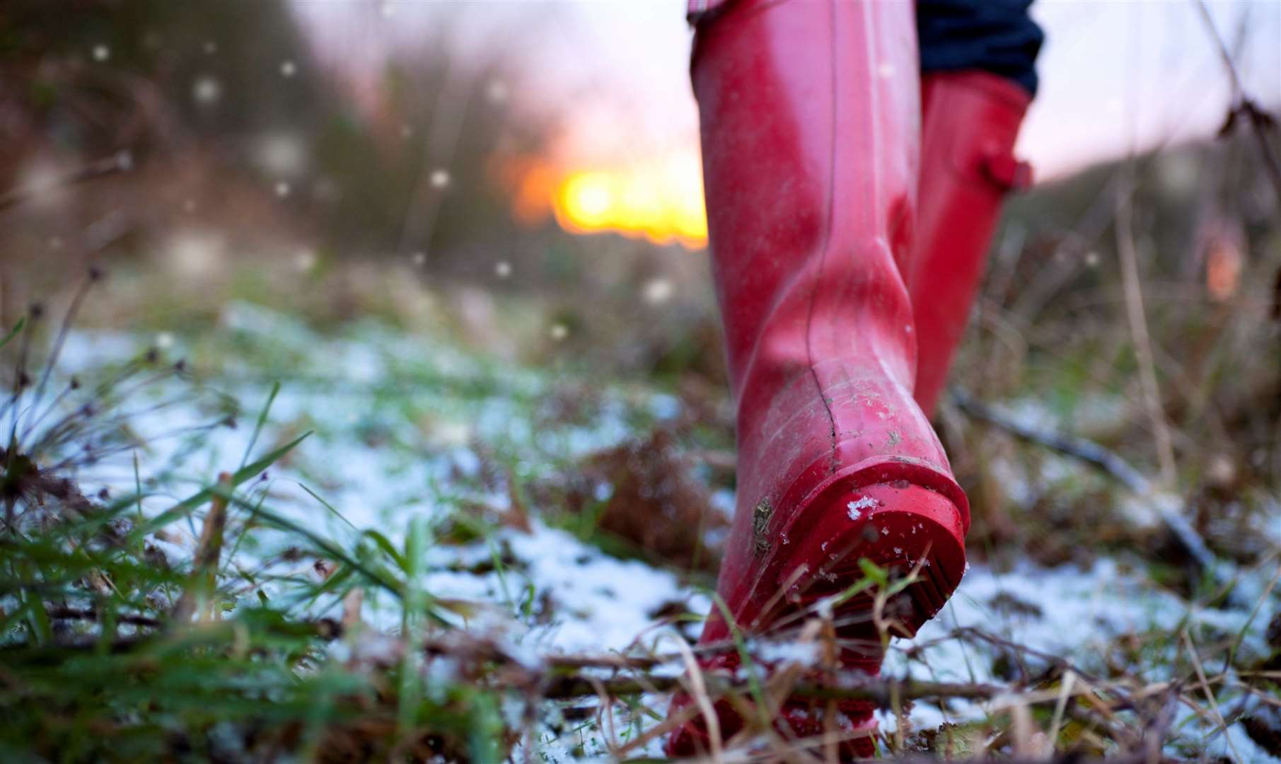 There could be a risk of ‘rural frosts’ say the Met Office. Image: iStock.