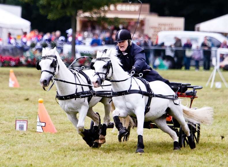 The Kent County Show has more than 150 activities this year
