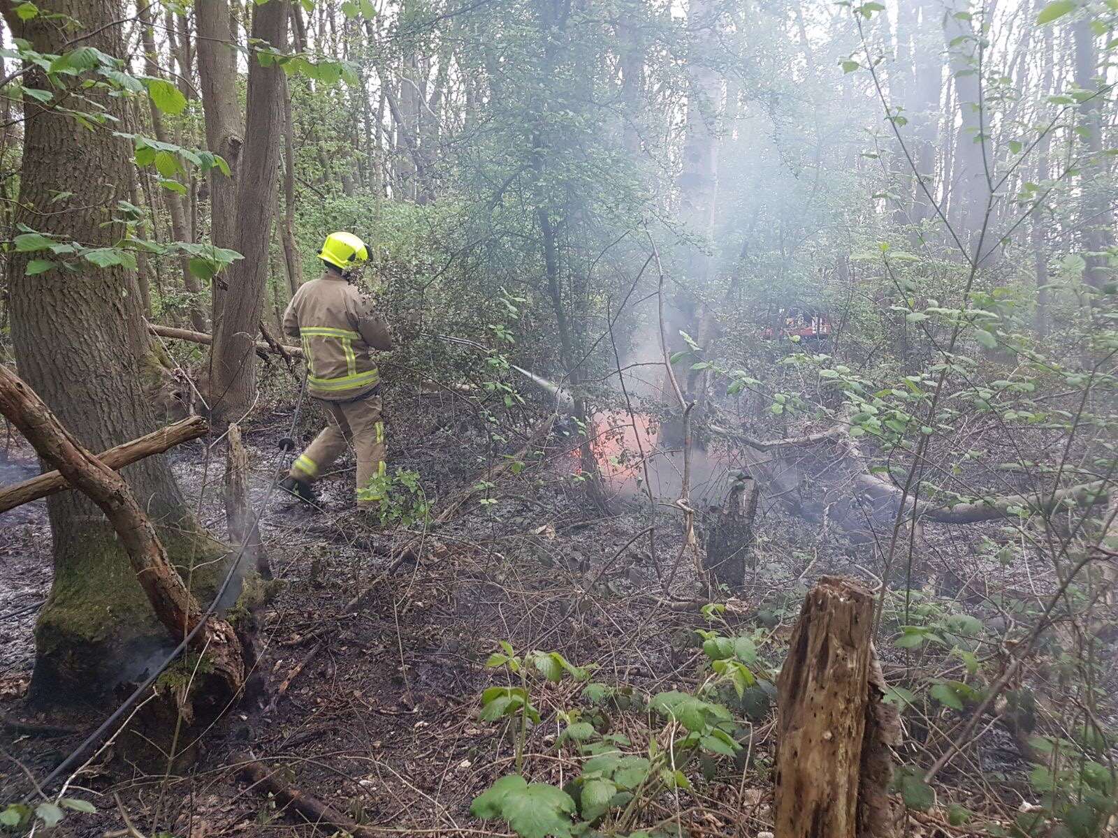 Firefighters tackle a woodland blaze in Bean