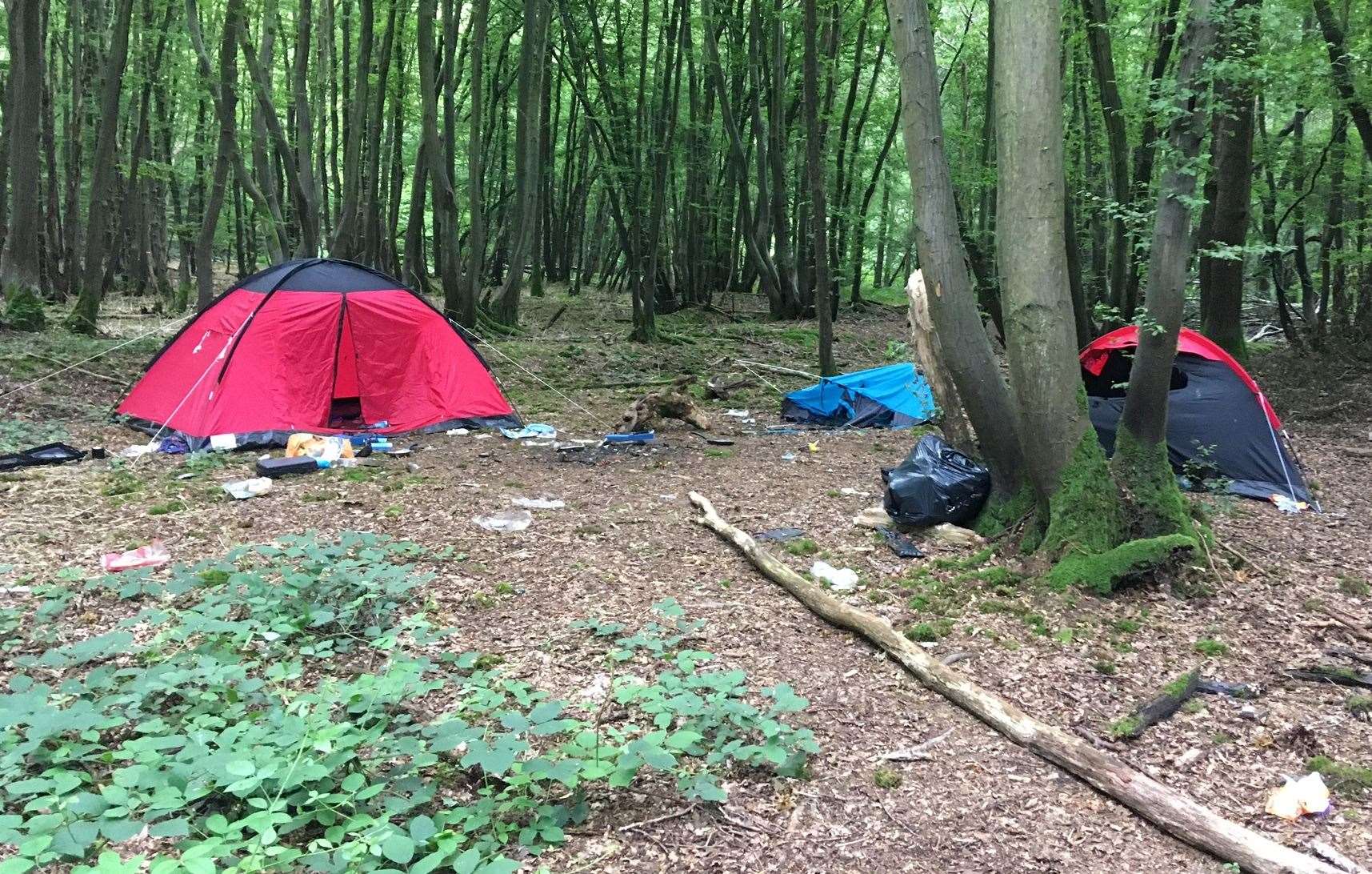 Wild campers have been leaving litter in the woods