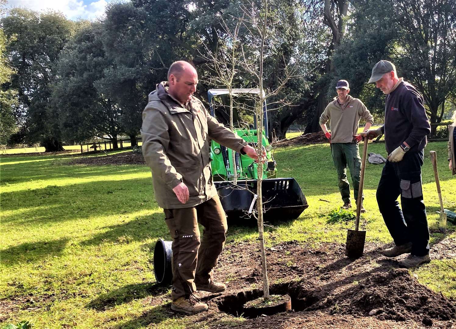 Philip Oostenbrink positions one of the new oaks as Brian Addison, Gardens Project Supervisor, and Andrew Crookes, trainee, prepare to plant the tree
