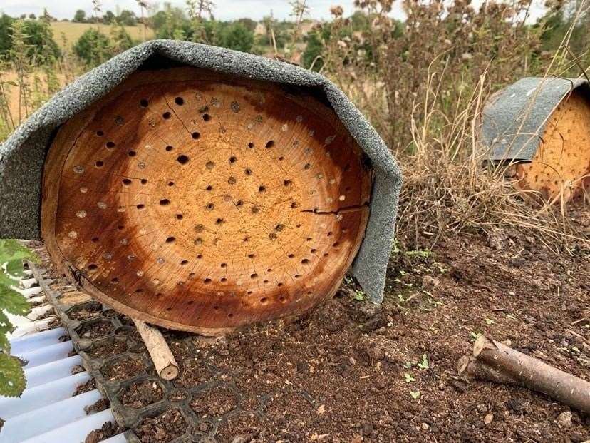 Bug hotels to attract insects on Sittingbourne Cllr Mike Baldock's field at Doddington. Picture: Facebook
